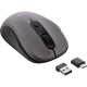 Maus, Bluetooth+2,4GHz, InLine?, 5 Tasten, optisch, grau/schwarz